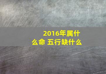 2016年属什么命 五行缺什么